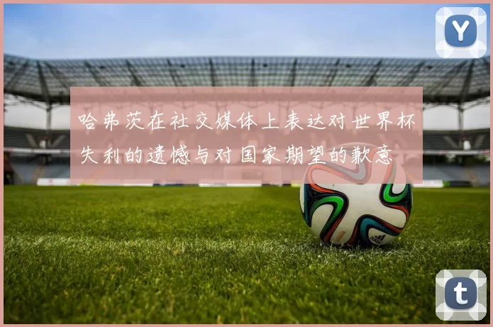 哈弗茨在社交媒体上表达对世界杯失利的遗憾与对国家期望的歉意